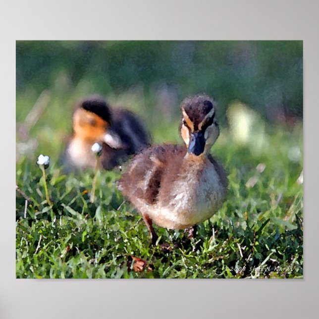 Duckling Poster (Front)