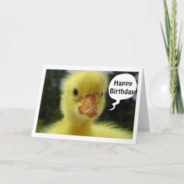 DUCKLING SAYS HOPE YOUR BIRTHDAY IS "JUST DUCKY" CARD (Front)
