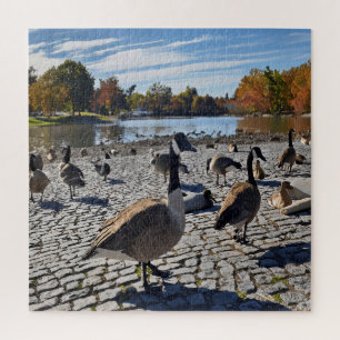 Duckling Serenity Jigsaw Puzzle