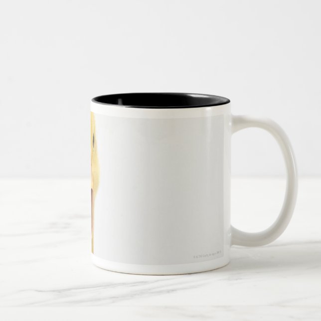 Duckling Two-Tone Coffee Mug (Right)