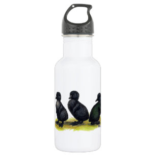 Ducklings Black Cayuga 532 Ml Water Bottle