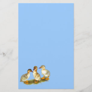 Ducklings:  Buff Orpingtons Stationery