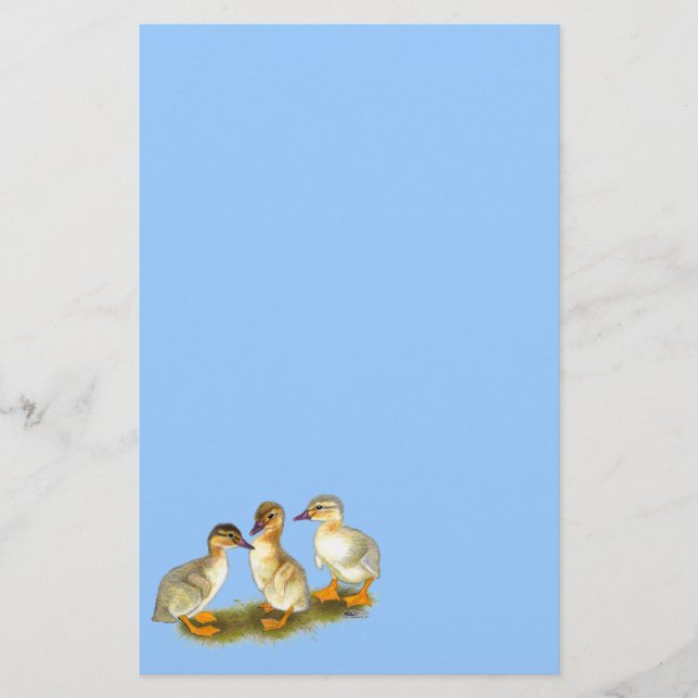Ducklings:  Buff Orpingtons Stationery (Front)