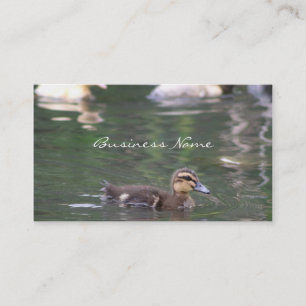 Ducklings business card