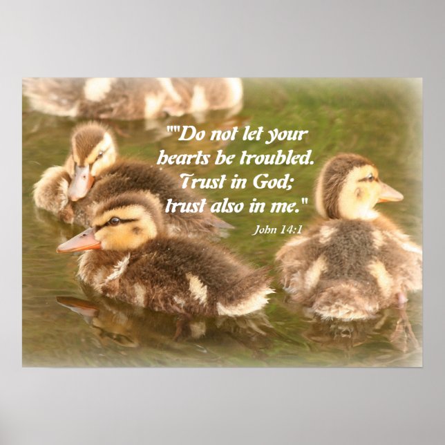 Ducklings Christian Poster (Front)