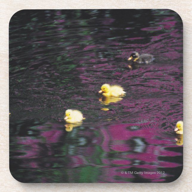 ducklings coaster (Front)