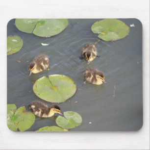 Ducklings mouse pad