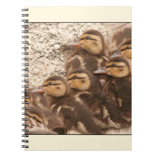 Ducklings Notebook (Front)