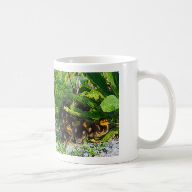 Ducklings Photo Mug (Right)