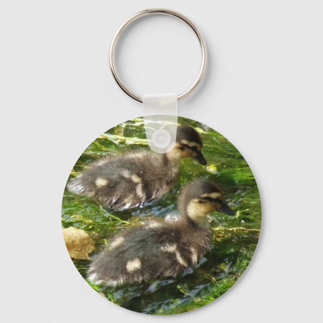 Ducklings Postcard Key Ring (Front)