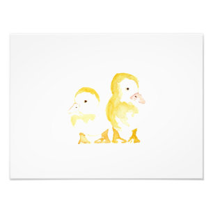 Ducklings Watercolour Photo Print