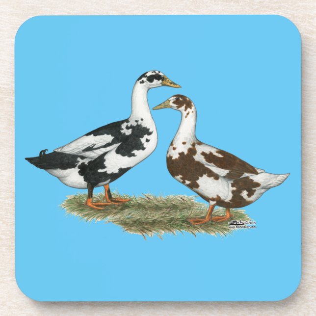 Ducks Ancona Pair Coaster (Front)
