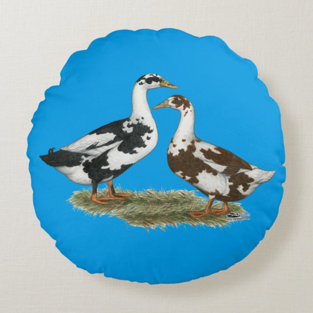 Ducks Ancona Pair Round Cushion (Front)