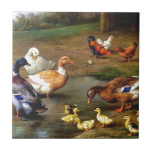 Ducks and ducklings tile