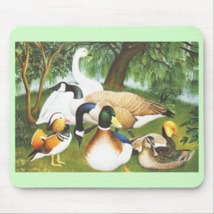 Ducks and swan birds mouse pad