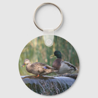 ducks at the falls key ring