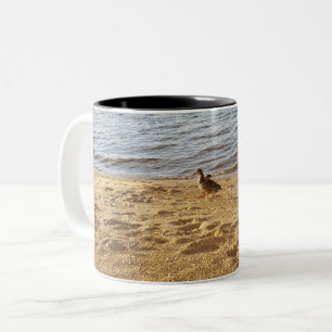 Ducks beach Coffee Mugs