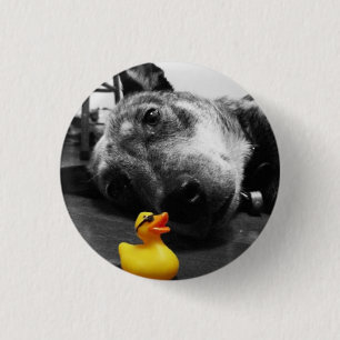 'Ducks Best Friend' Rubber Duck Button (small)