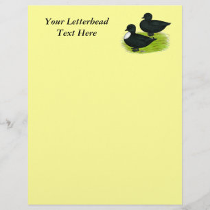 Ducks: Black Calls