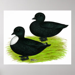 Ducks: Black Calls Poster