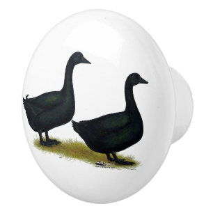 Ducks: Black Cayugas Ceramic Knob