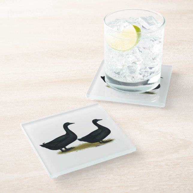 Ducks:  Black Cayugas Glass Coaster (Angled)