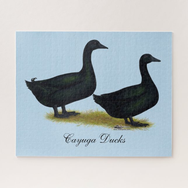 Ducks:  Black Cayugas Jigsaw Puzzle (Horizontal)
