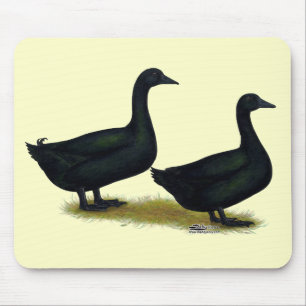 Ducks: Black Cayugas Mouse Pad