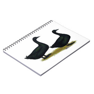 Ducks:  Black Cayugas Notebook