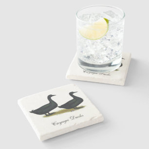 Ducks: Black Cayugas Stone Coaster