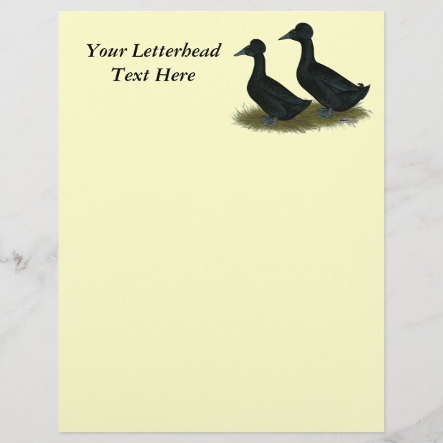 Ducks:  Black Crested (Front)