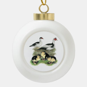 Ducks Black Pied Muscovy Family Ceramic Ball Christmas Ornament