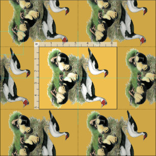 Ducks Black Pied Muscovy Family Fabric