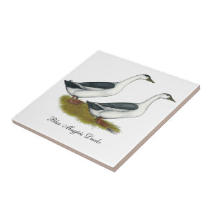 Ducks:  Blue Magpies Tile