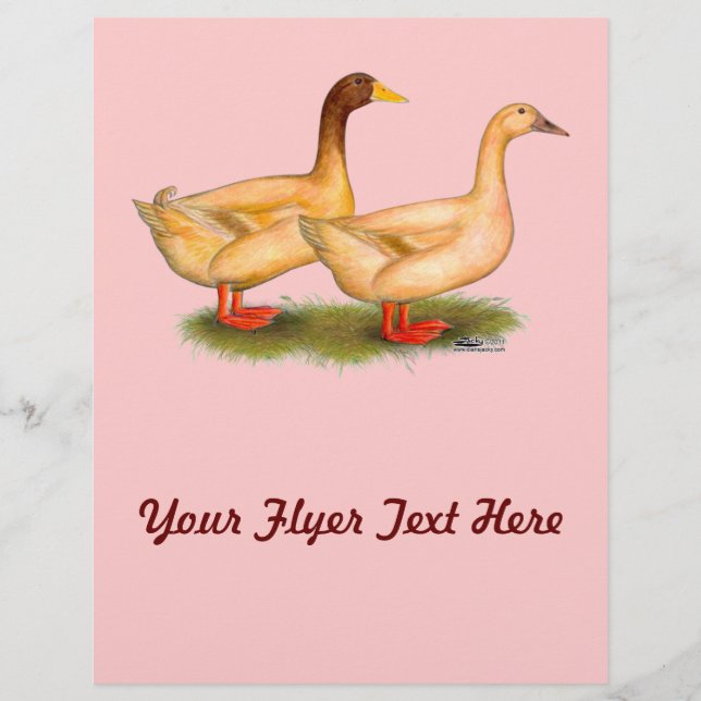 Ducks:  Buff Orpington Flyer (Front)