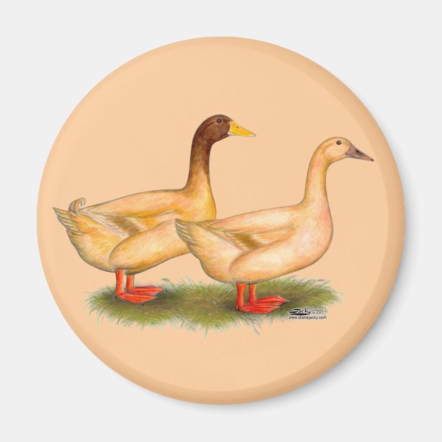 Ducks:  Buff Orpington Magnet (Front)