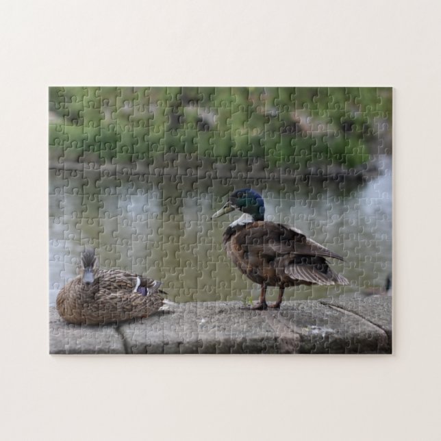 Ducks by the Water Bird Nature Photography Jigsaw Puzzle (Horizontal)