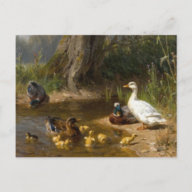 Ducks by the Water by Carl Jutz Postcard (Front)