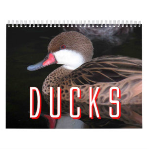 Ducks Calendar