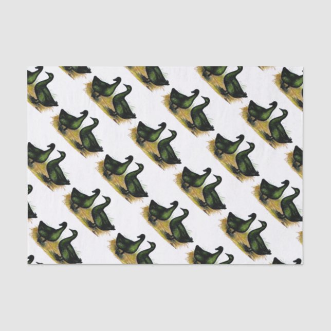 Ducks:  Cayuga Pair Tissue Paper (Front)