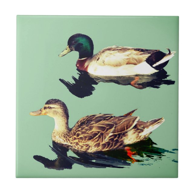 Ducks Ceramic Tile (Front)