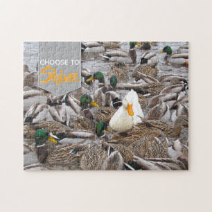 Ducks Choose to Shine Jigsaw Puzzle