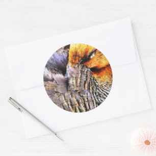 DUCKS CLASSIC ROUND STICKER