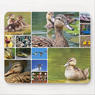 Ducks Collage Photo Mouse Pad