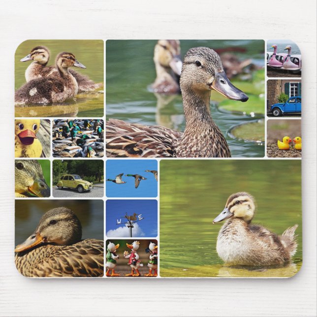 Ducks Collage Photo Mouse Pad (Front)