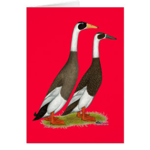 Ducks: Emery Penciled Runners