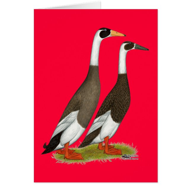 Ducks:  Emery Penciled Runners (Front)