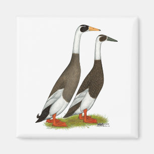Ducks: Emery Penciled Runners Magnet