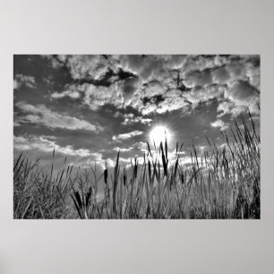 Duck's Eye View Poster