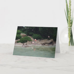 "Ducks & Flamingos" Thank You Card